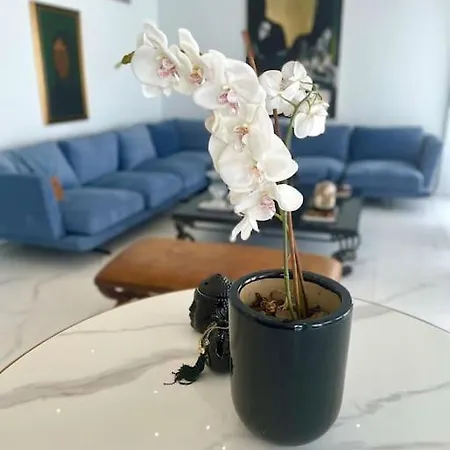 Penthouse Luxury Lefkoşa