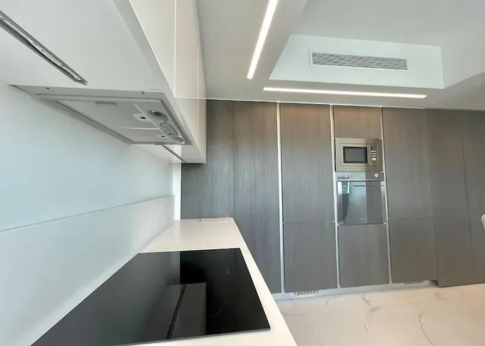 Penthouse Luxury アパート ニコシア