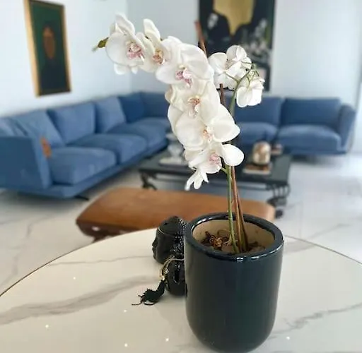 Penthouse Luxury ニコシア